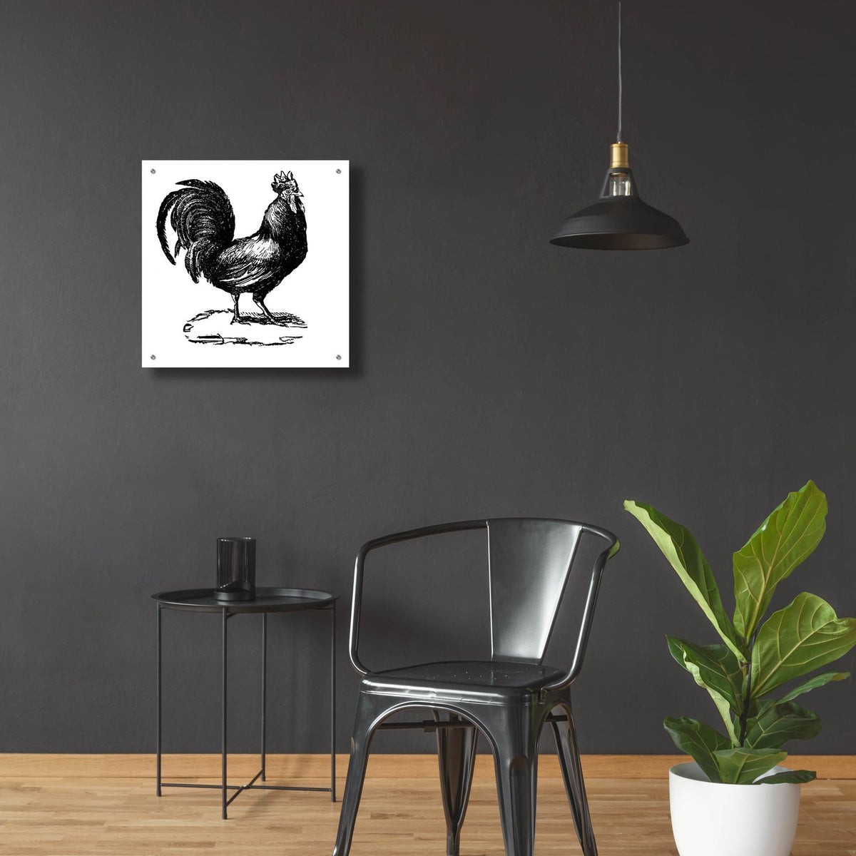 Standing Rooster by Art Licensing Studio - 24x24 acrylic wall art in a room