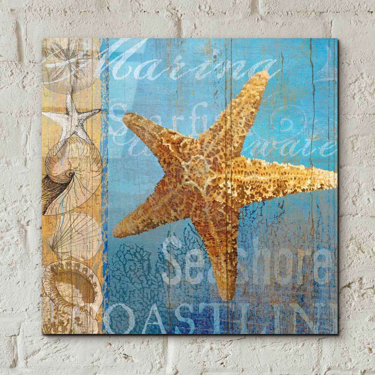 Starfish And Sea by Art Licensing Studio - 12x12 acrylic wall art in a room