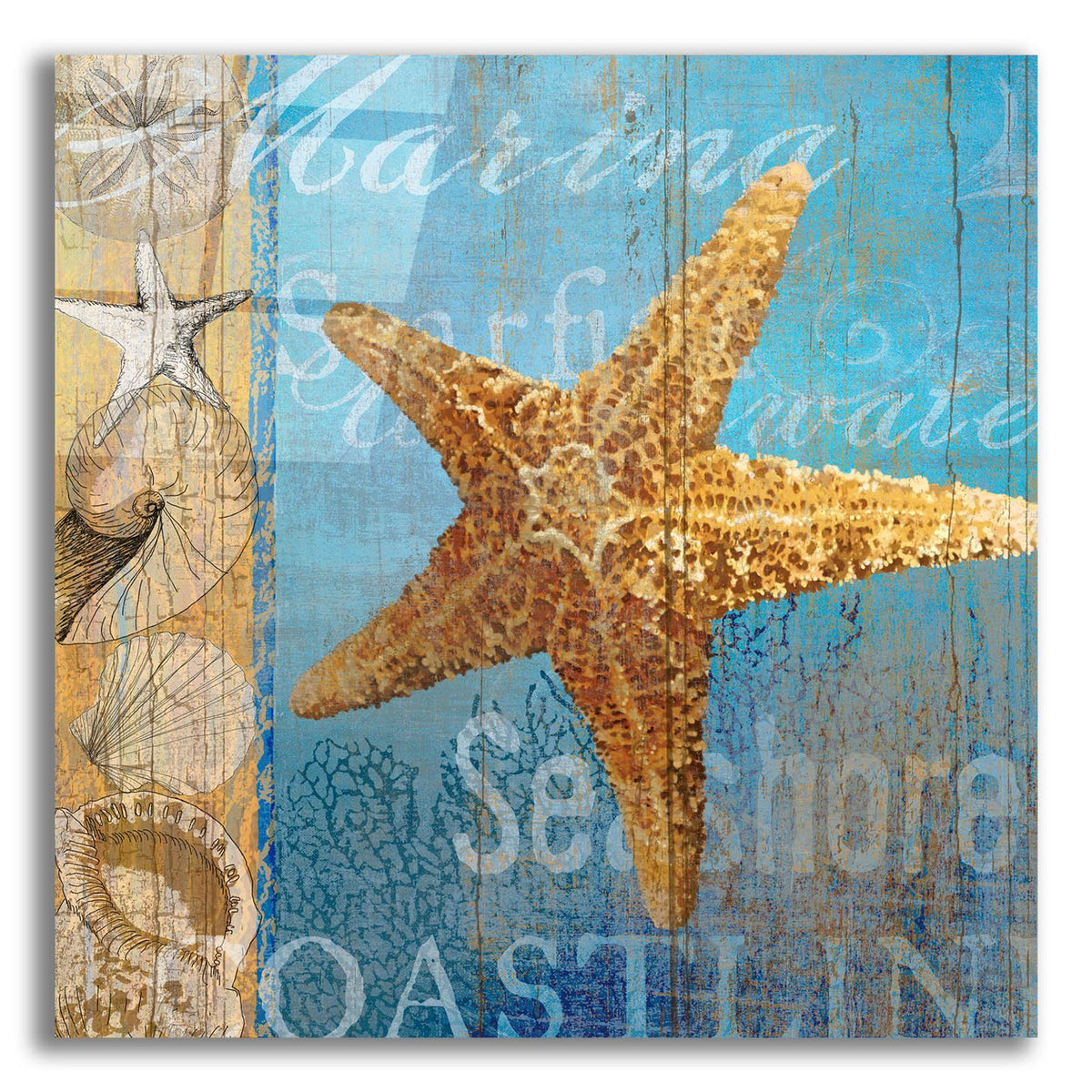 Starfish And Sea by Art Licensing Studio acrylic glass wall art