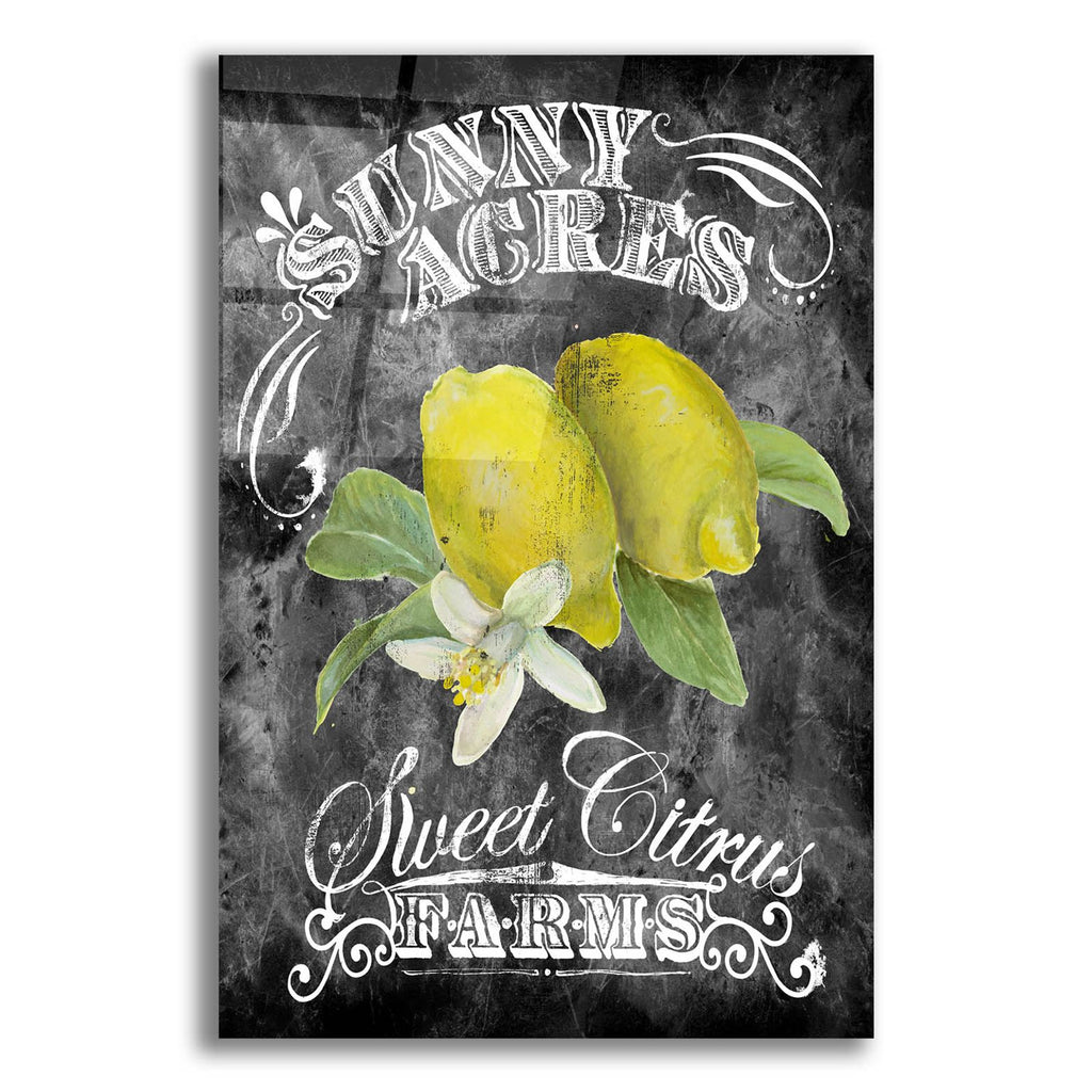 Sunny Acres by Art Licensing Studio acrylic glass wall art