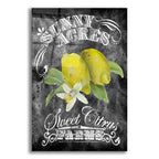 Sunny Acres by Art Licensing Studio acrylic glass wall art