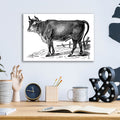 The Happy Cow by Art Licensing Studio - 16x12 acrylic wall art in a room