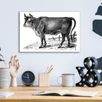 The Happy Cow by Art Licensing Studio - 16x12 acrylic wall art in a room