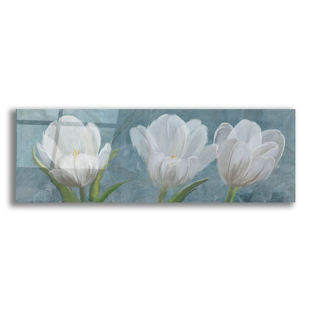 Tulip Triolet 2 by Art Licensing Studio acrylic glass wall art
