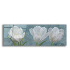 Tulip Triolet 2 by Art Licensing Studio acrylic glass wall art