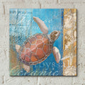Turtle And Sea by Art Licensing Studio - 12x12 acrylic wall art in a room