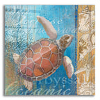 Turtle And Sea by Art Licensing Studio acrylic glass wall art