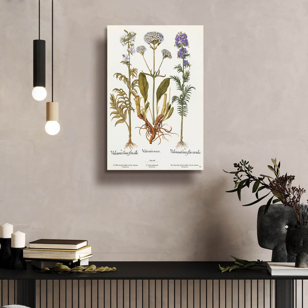 Valeriana by Art Licensing Studio - 16x24 acrylic wall art in a room