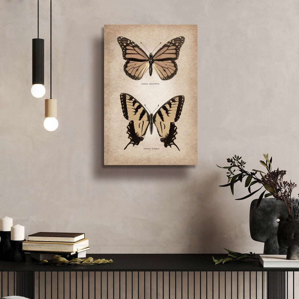 Vintage Butterflies Duo 1 by Art Licensing Studio - 16x24 acrylic wall art in a room