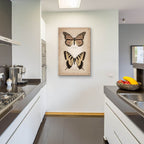 Vintage Butterflies Duo 1 by Art Licensing Studio - 24x36 acrylic wall art in a room