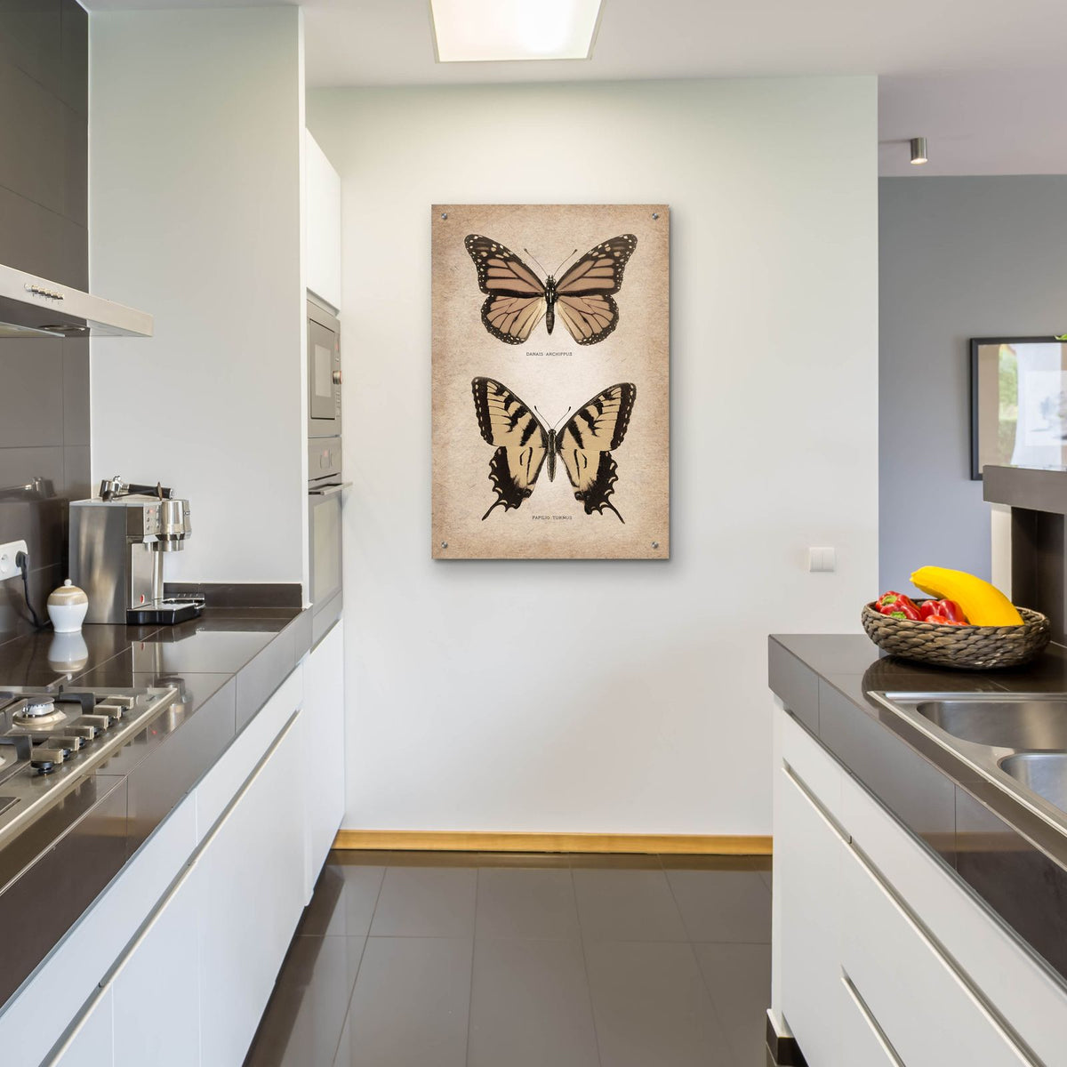 Vintage Butterflies Duo 1 by Art Licensing Studio - 24x36 acrylic wall art in a room