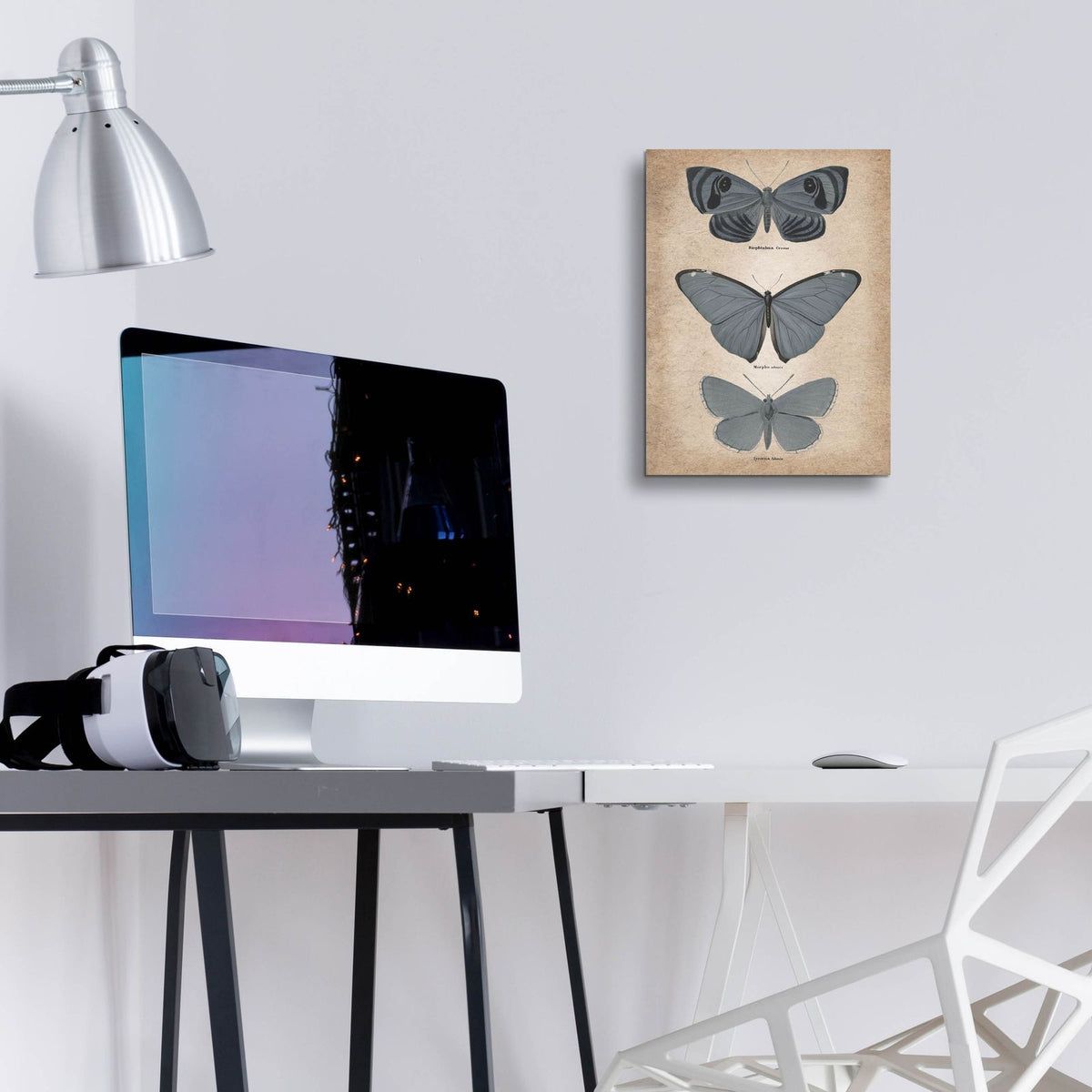 Vintage Butterflies Trio 1 by Art Licensing Studio - 12x16 acrylic wall art in a room