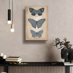 Vintage Butterflies Trio 1 by Art Licensing Studio - 16x24 acrylic wall art in a room