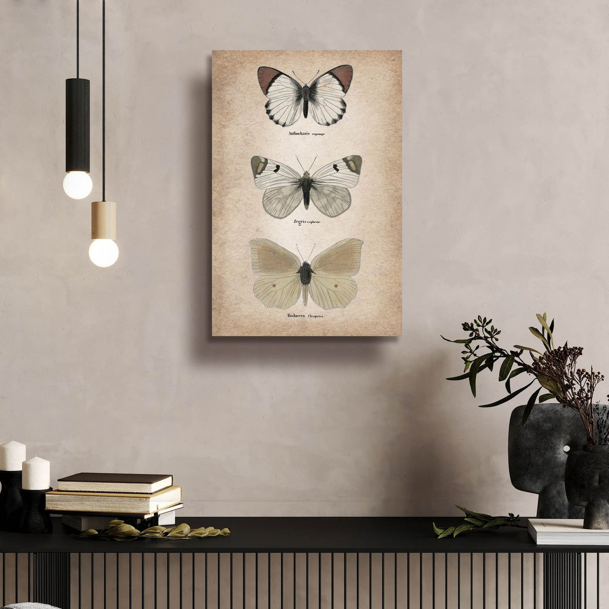 Vintage Butterflies Trio 2 by Art Licensing Studio - 16x24 acrylic wall art in a room
