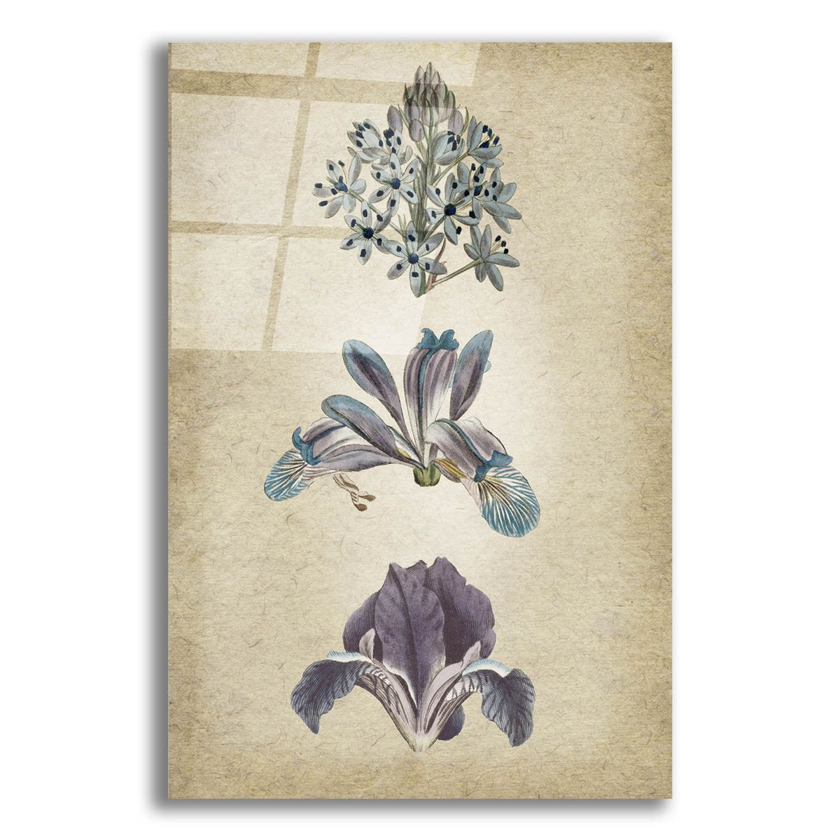 Vintage Flowers Blue by Art Licensing Studio acrylic glass wall art