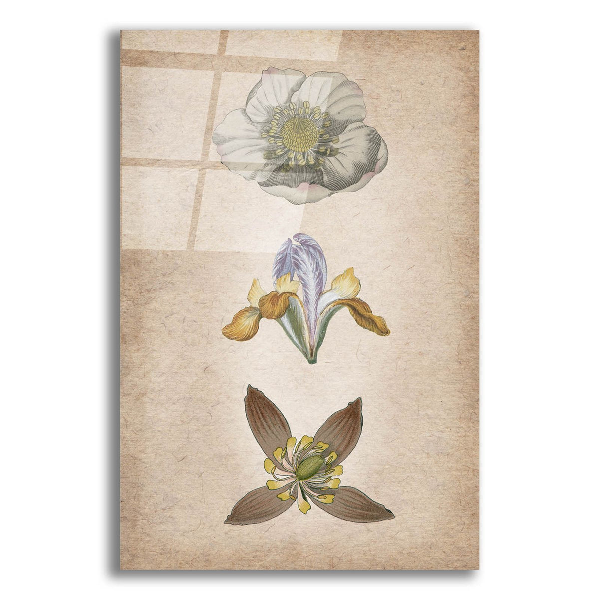 Vintage Flowers Neutral by Art Licensing Studio acrylic glass wall art