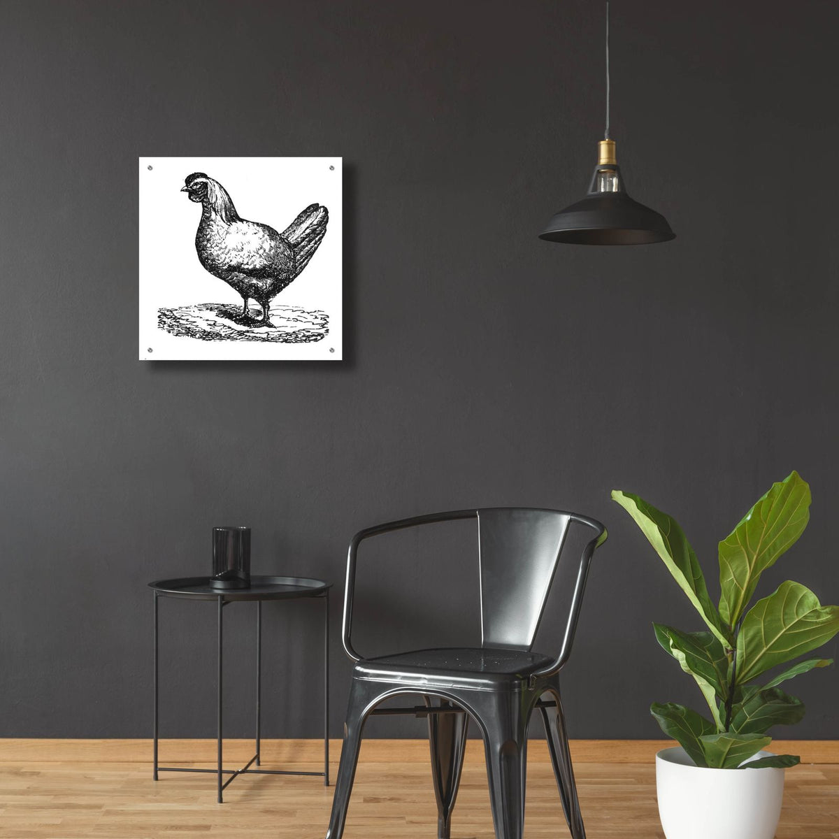 White Chicken by Art Licensing Studio - 24x24 acrylic wall art in a room