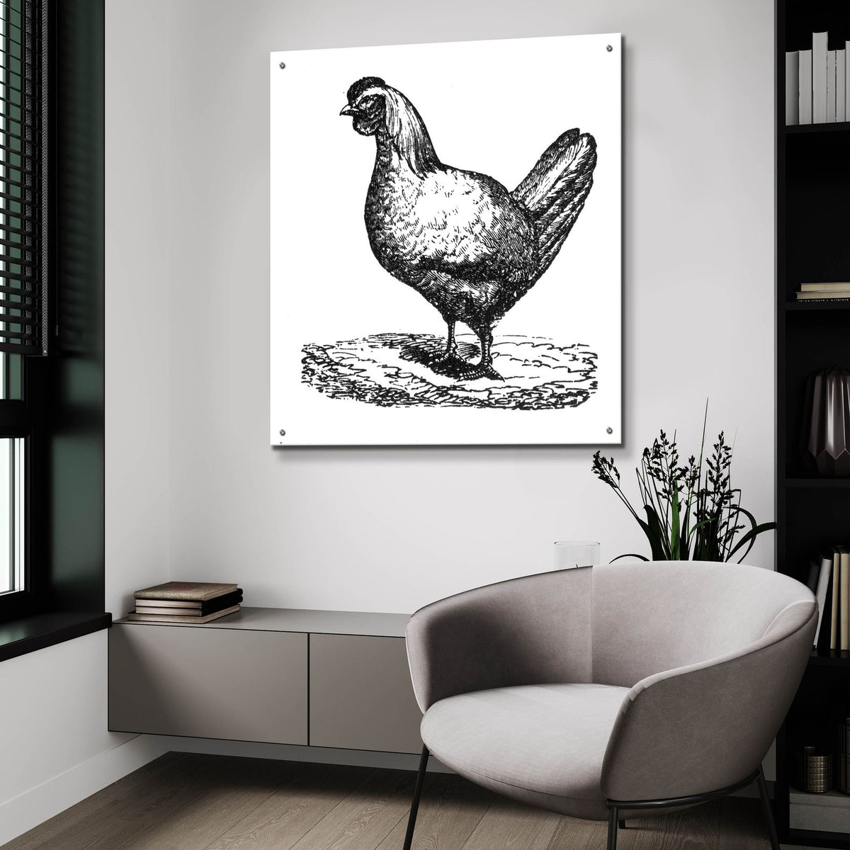 White Chicken by Art Licensing Studio - 36x36 acrylic wall art in a room