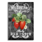 Wildberry Fields by Art Licensing Studio acrylic glass wall art