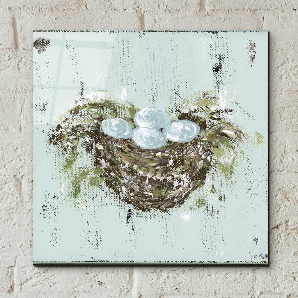 Bird Nest by Ashley Bradley - 12x12 acrylic wall art in a room