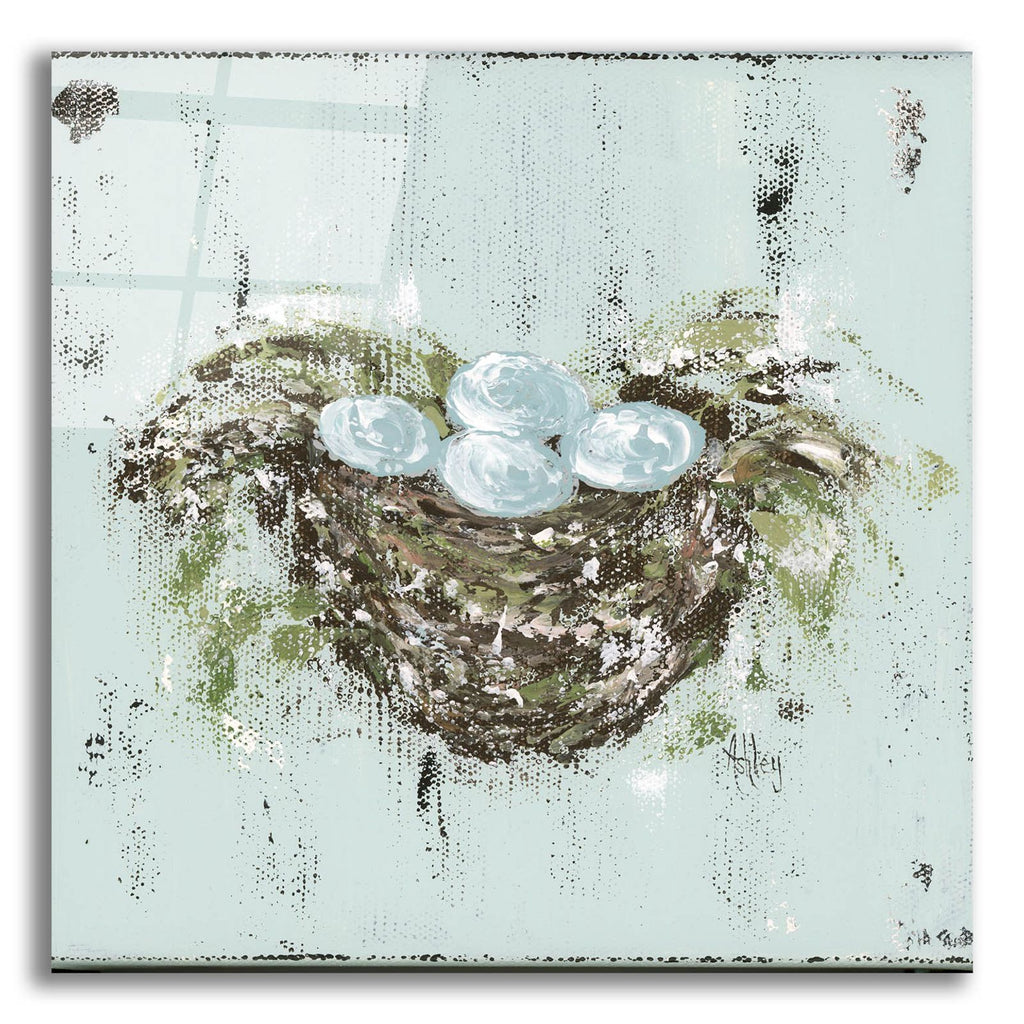 Bird Nest by Ashley Bradley acrylic glass wall art