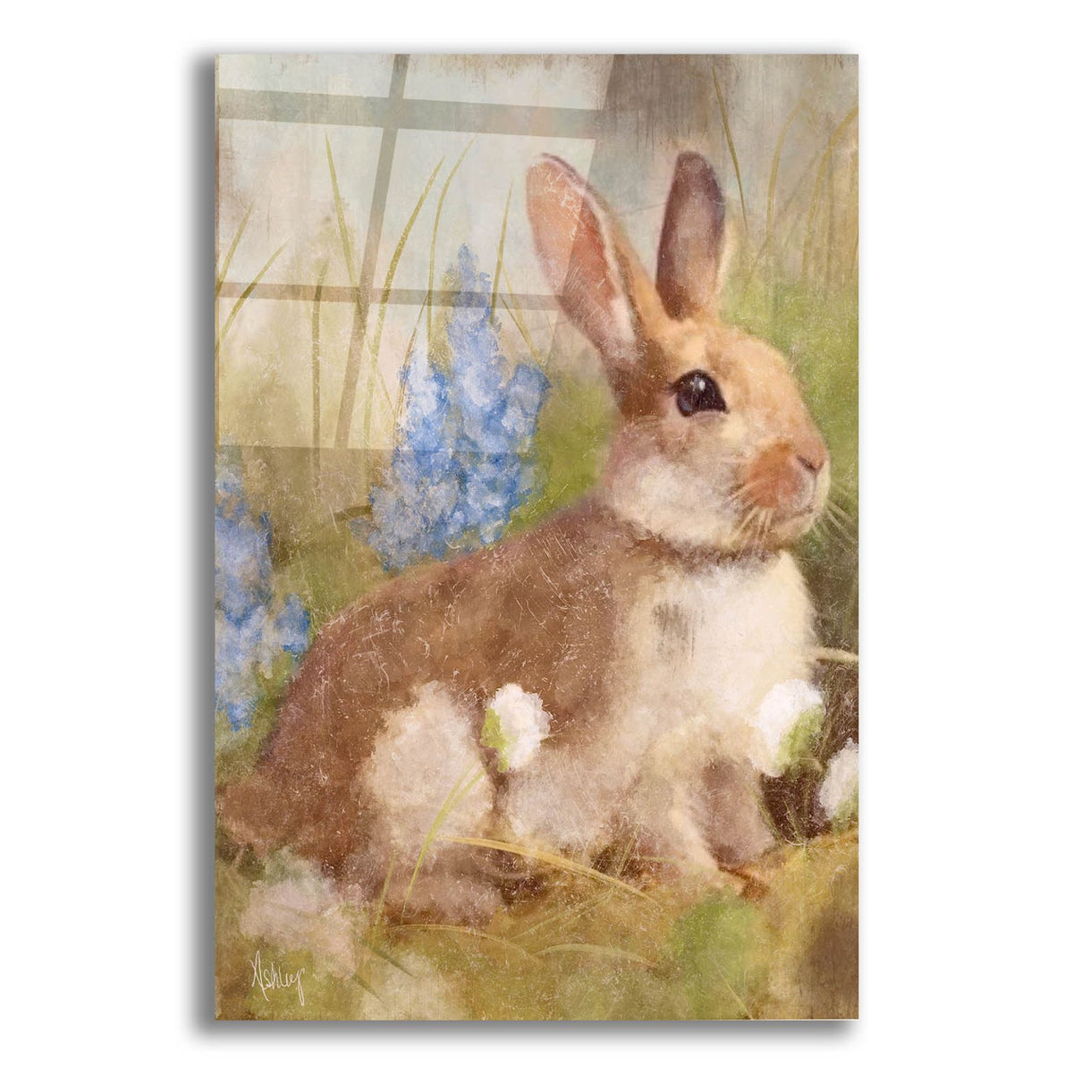 Bunny In Meadow by Ashley Bradley acrylic glass wall art