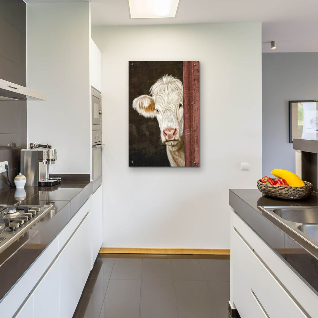 Peek A Moo by Ashley Bradley - 24x36 acrylic wall art in a room
