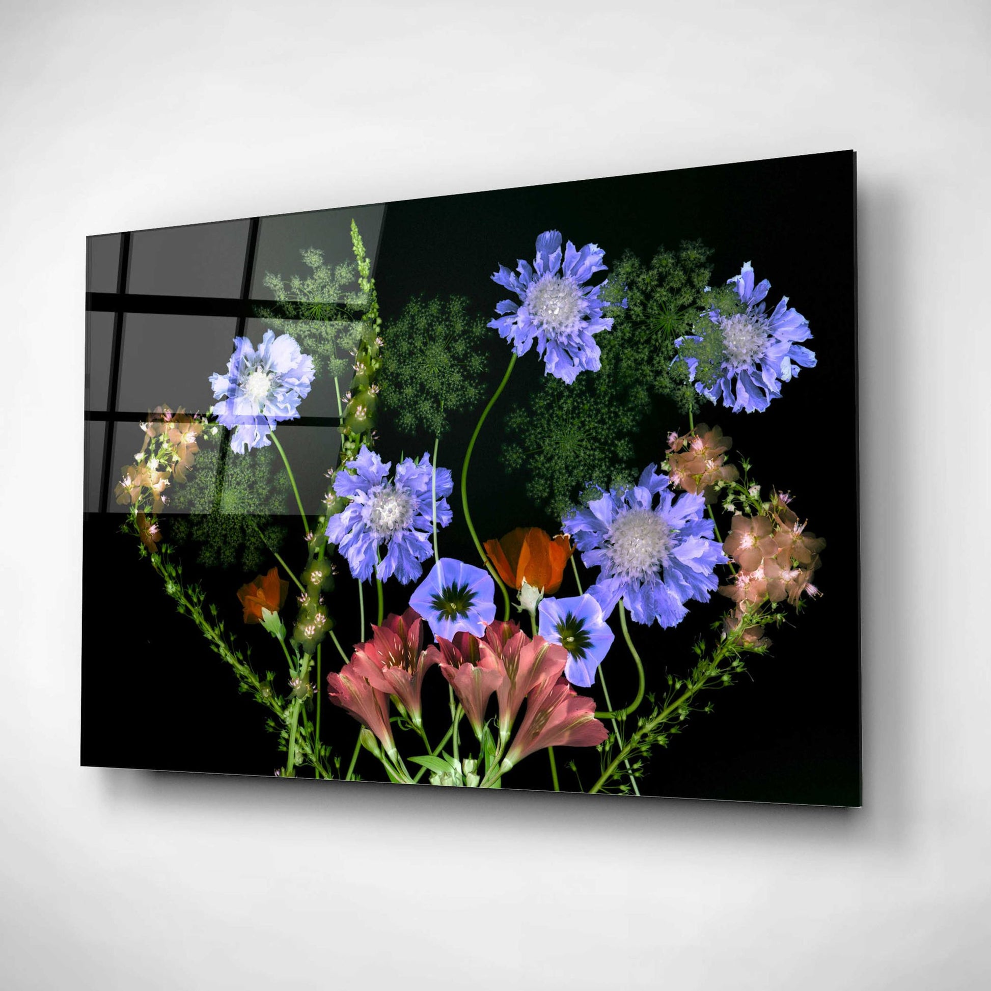 Epic Art 'Botanical XI' by Dennis Frates, Acrylic Glass Wall Art,24x16