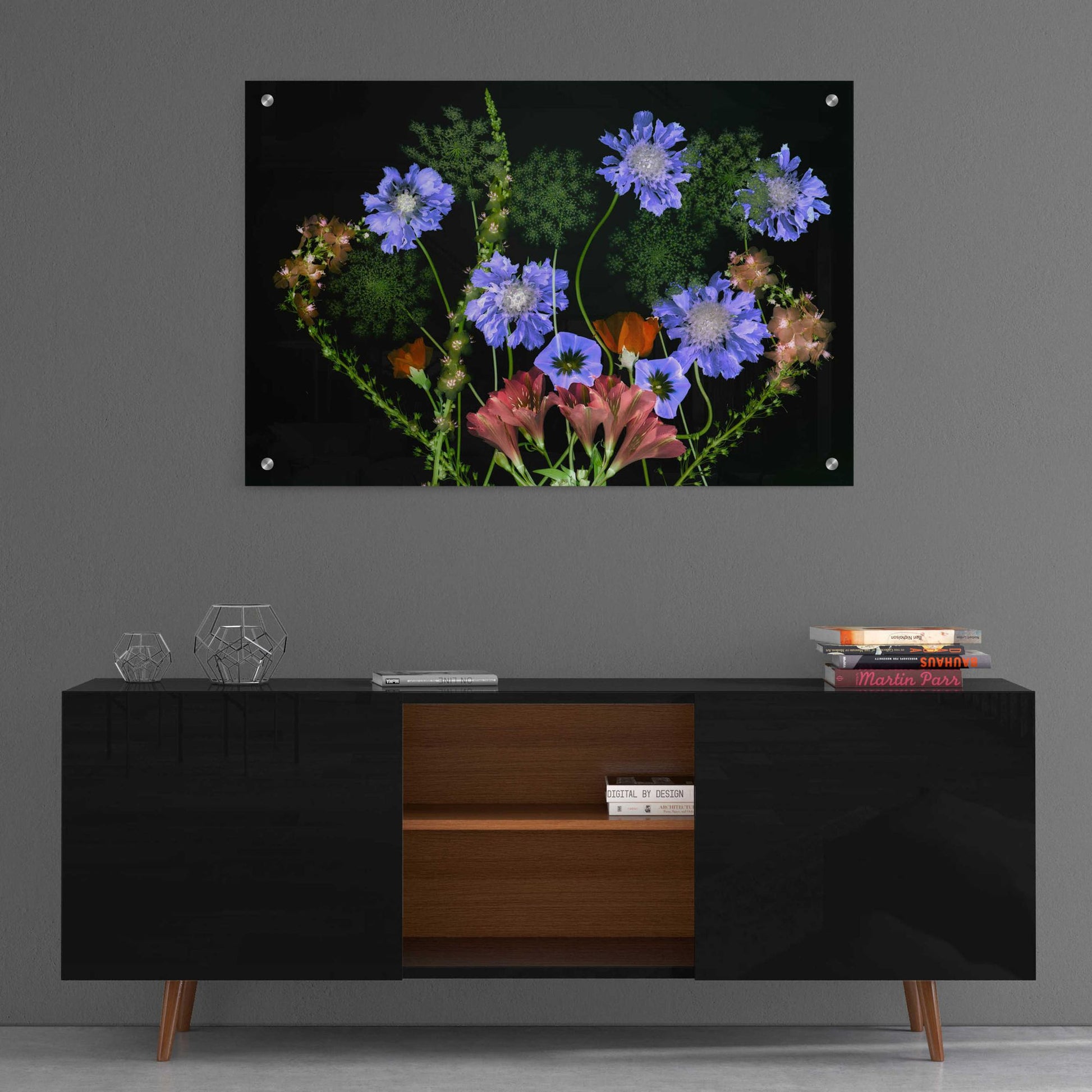 Epic Art 'Botanical XI' by Dennis Frates, Acrylic Glass Wall Art,36x24