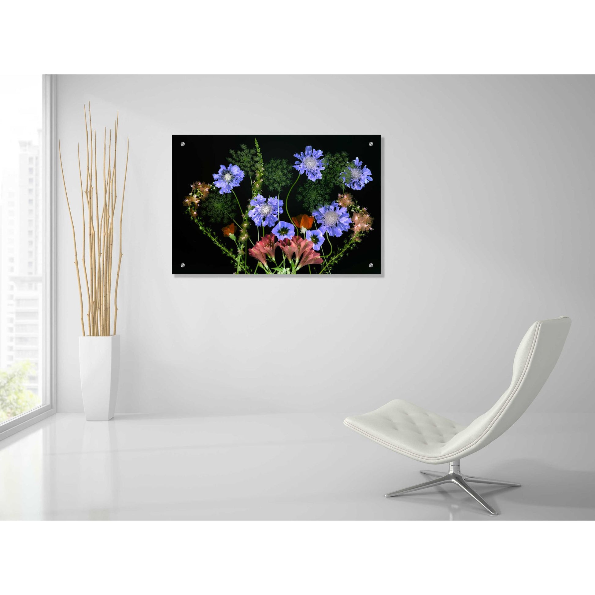 Epic Art 'Botanical XI' by Dennis Frates, Acrylic Glass Wall Art,36x24