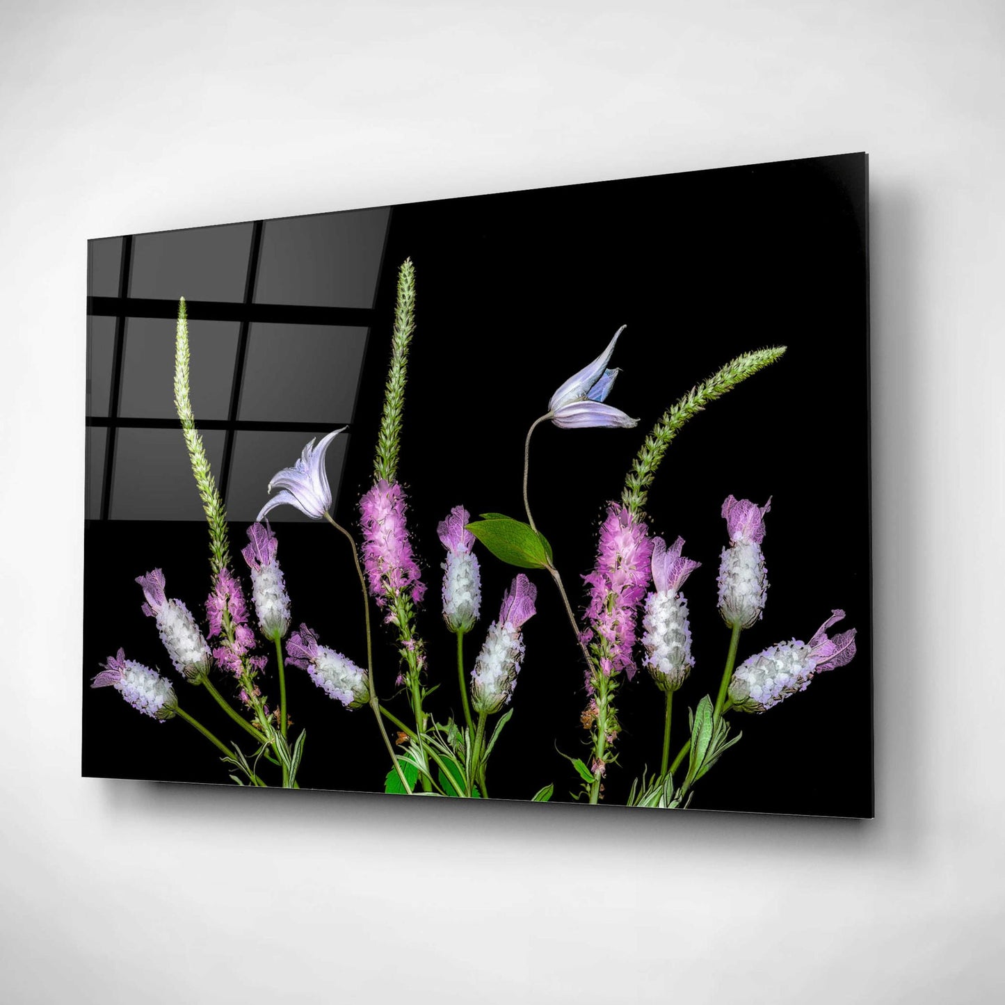 Epic Art 'Botanical X' by Dennis Frates, Acrylic Glass Wall Art,16x12