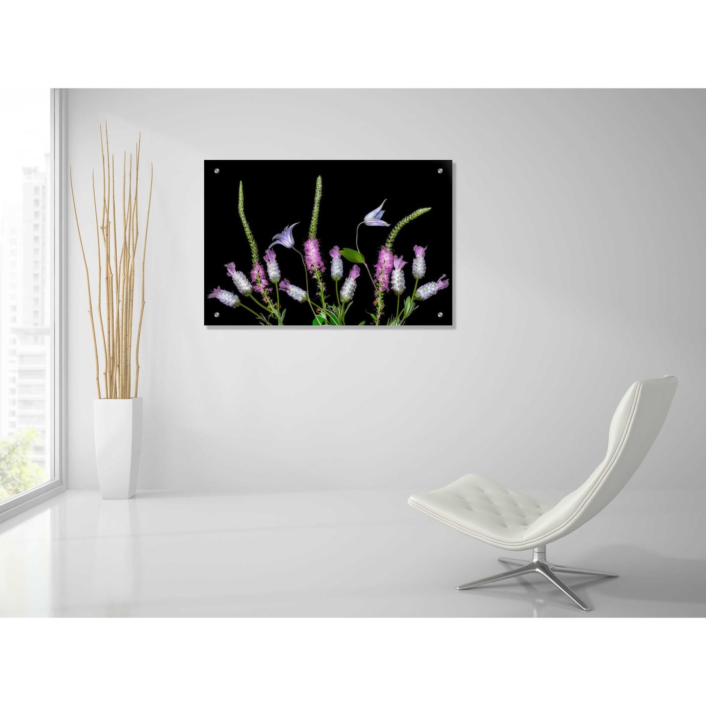 Epic Art 'Botanical X' by Dennis Frates, Acrylic Glass Wall Art,36x24