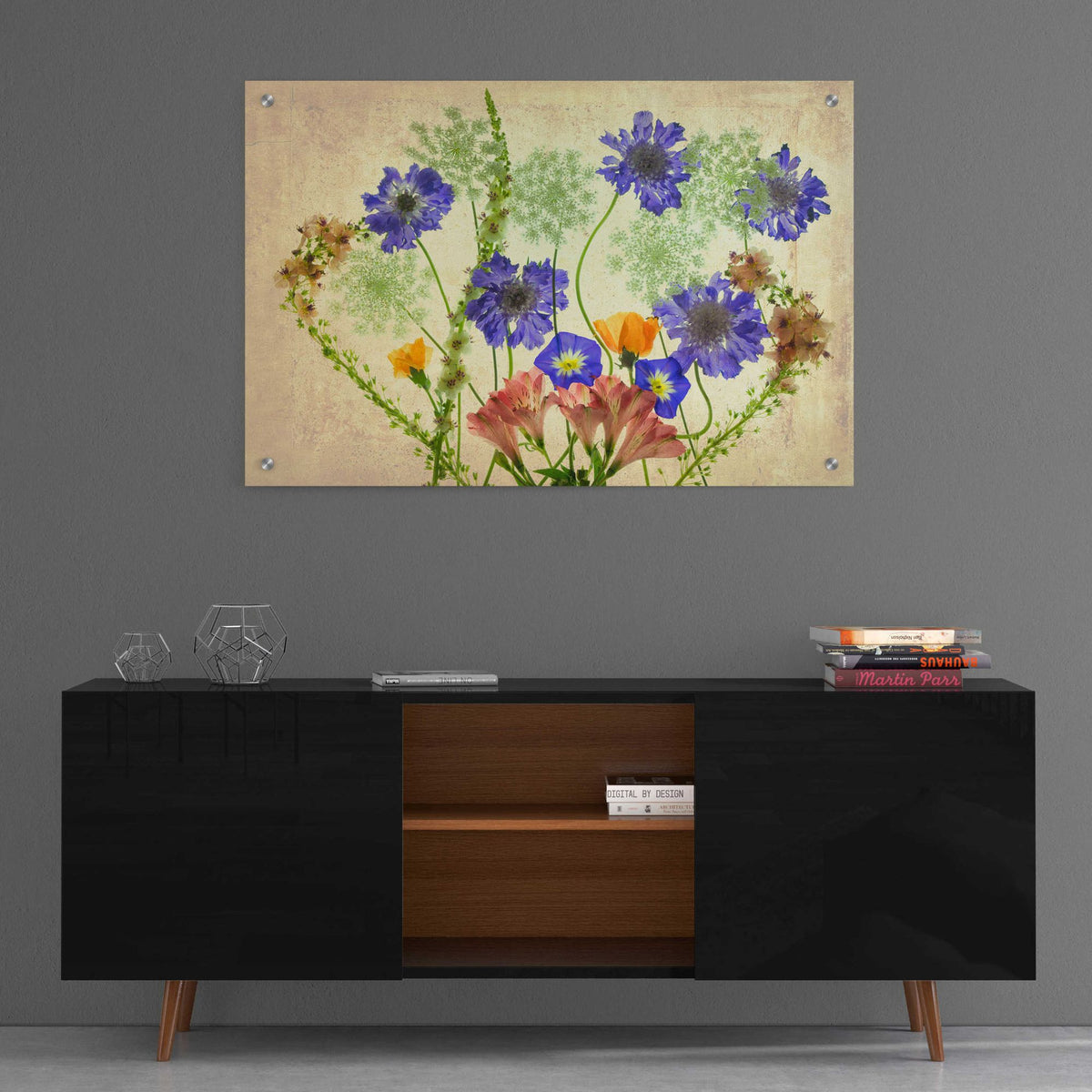 Epic Art 'Botanical IX' by Dennis Frates, Acrylic Glass Wall Art,36x24