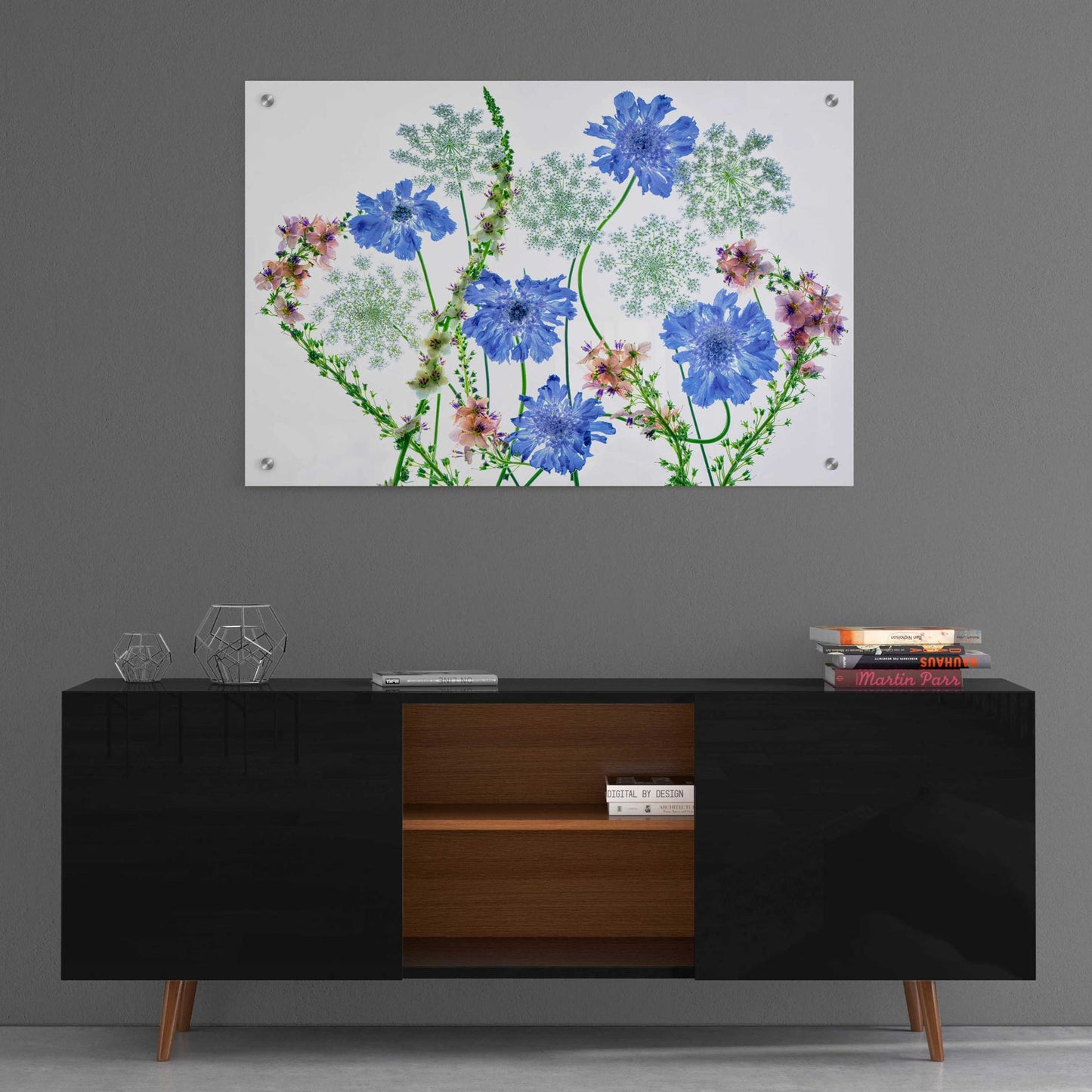Epic Art 'Botanical VII' by Dennis Frates, Acrylic Glass Wall Art,36x24