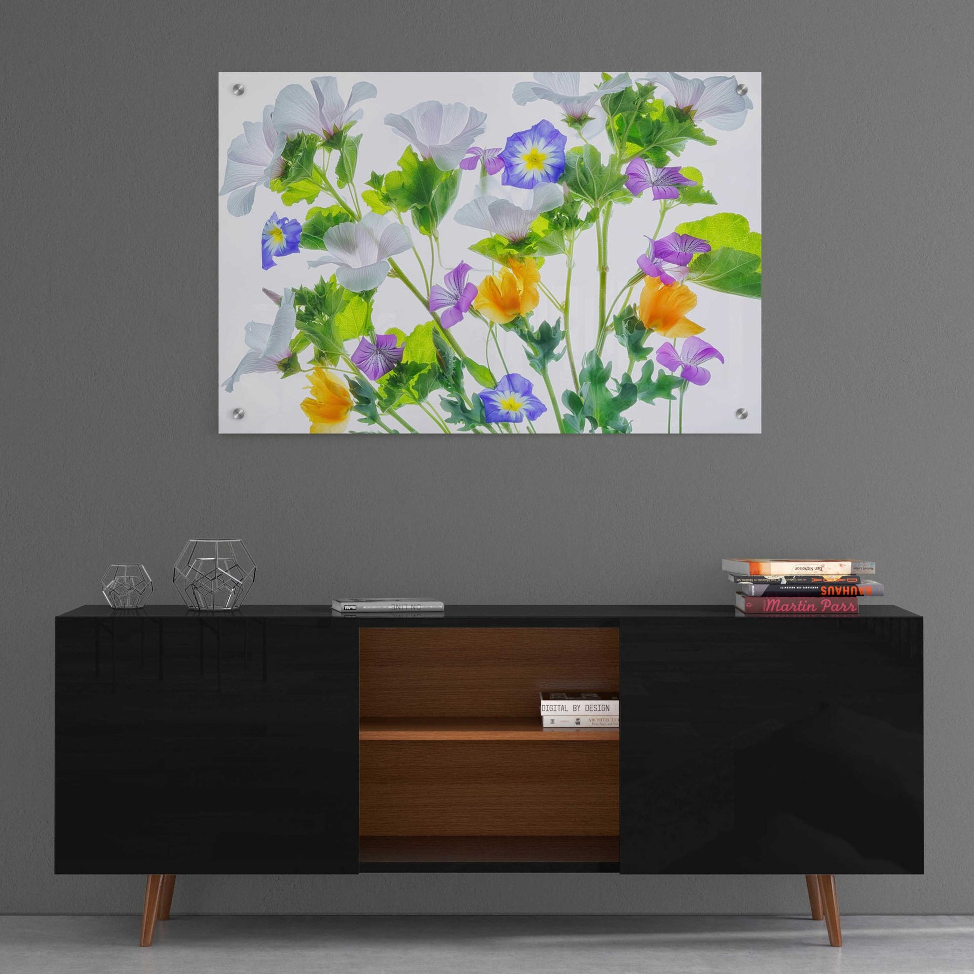 Epic Art 'Botanical VI' by Dennis Frates, Acrylic Glass Wall Art,36x24