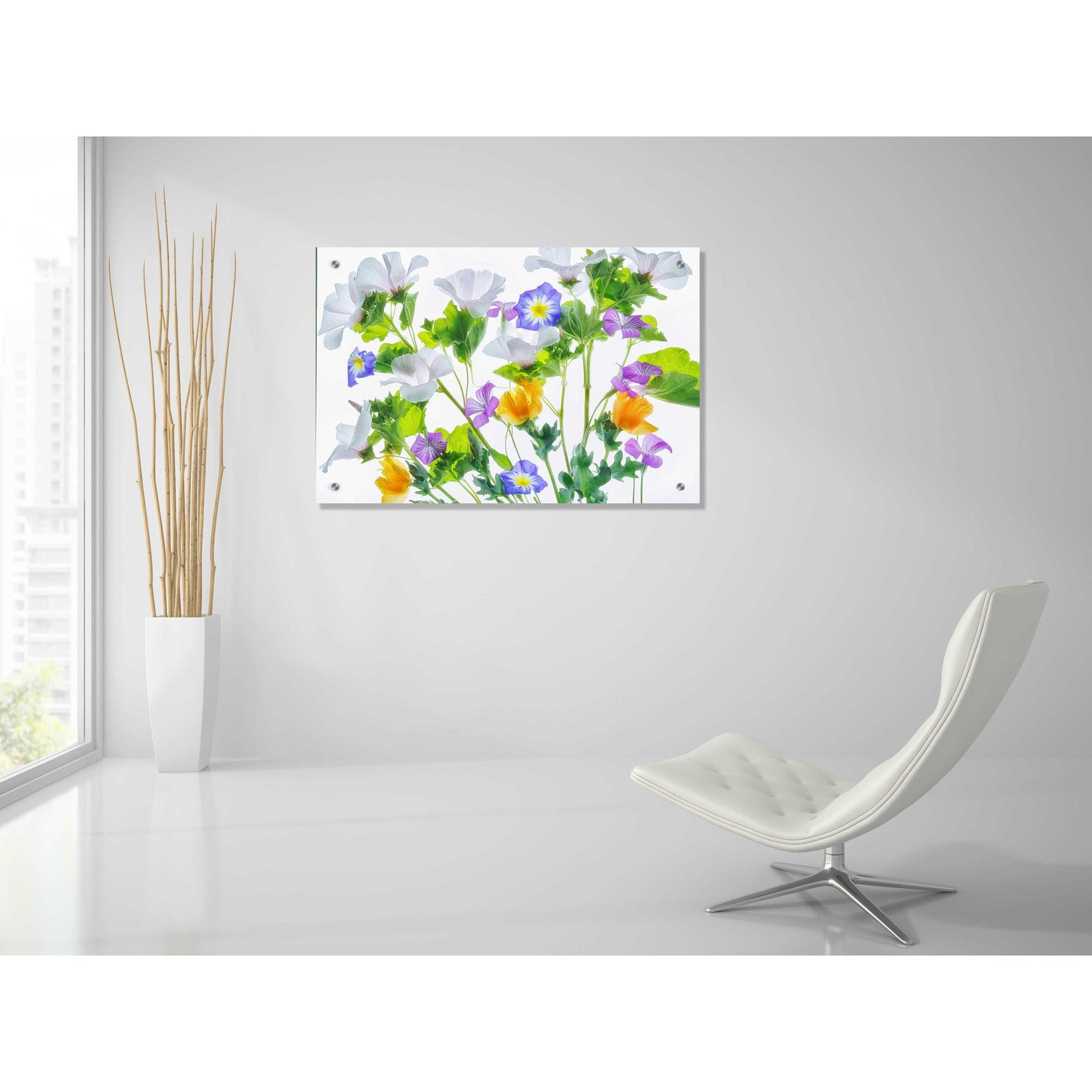 Epic Art 'Botanical VI' by Dennis Frates, Acrylic Glass Wall Art,36x24