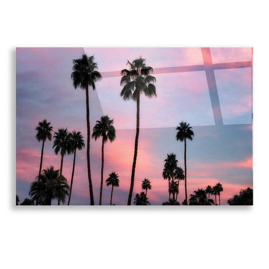 Epic Art 'Palm Sunset' by Dennis Frates, Acrylic Glass Wall Art