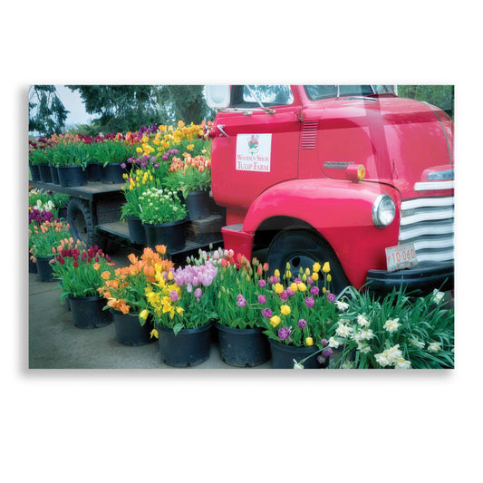 Epic Art 'Floral Truck' by Dennis Frates, Acrylic Glass Wall Art