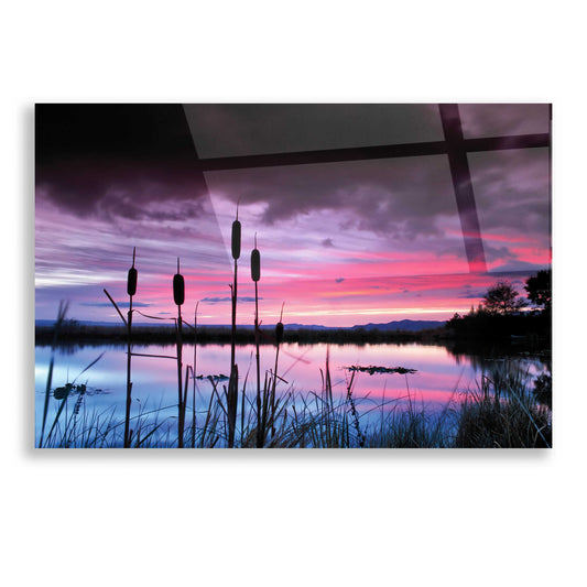 Epic Art 'Purple Skies' by Dennis Frates, Acrylic Glass Wall Art