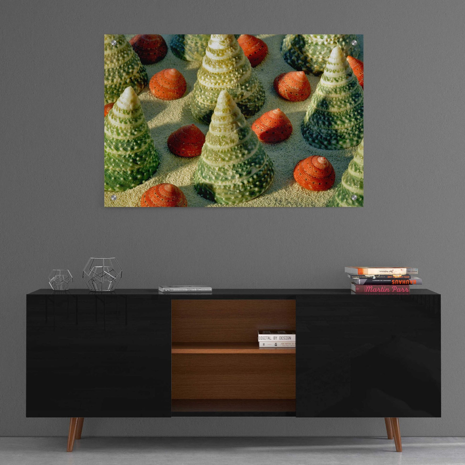 Epic Art 'Tree Shells' by Dennis Frates, Acrylic Glass Wall Art,36x24