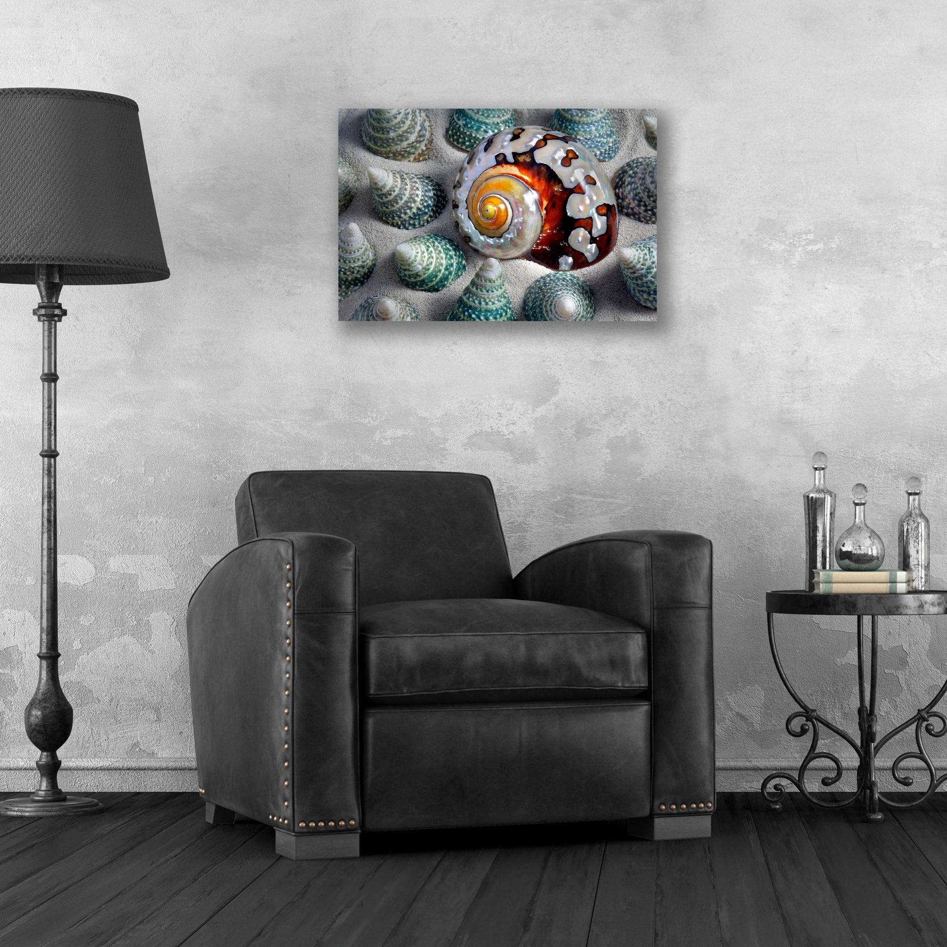 Epic Art 'Shell Spiral' by Dennis Frates, Acrylic Glass Wall Art,24x16