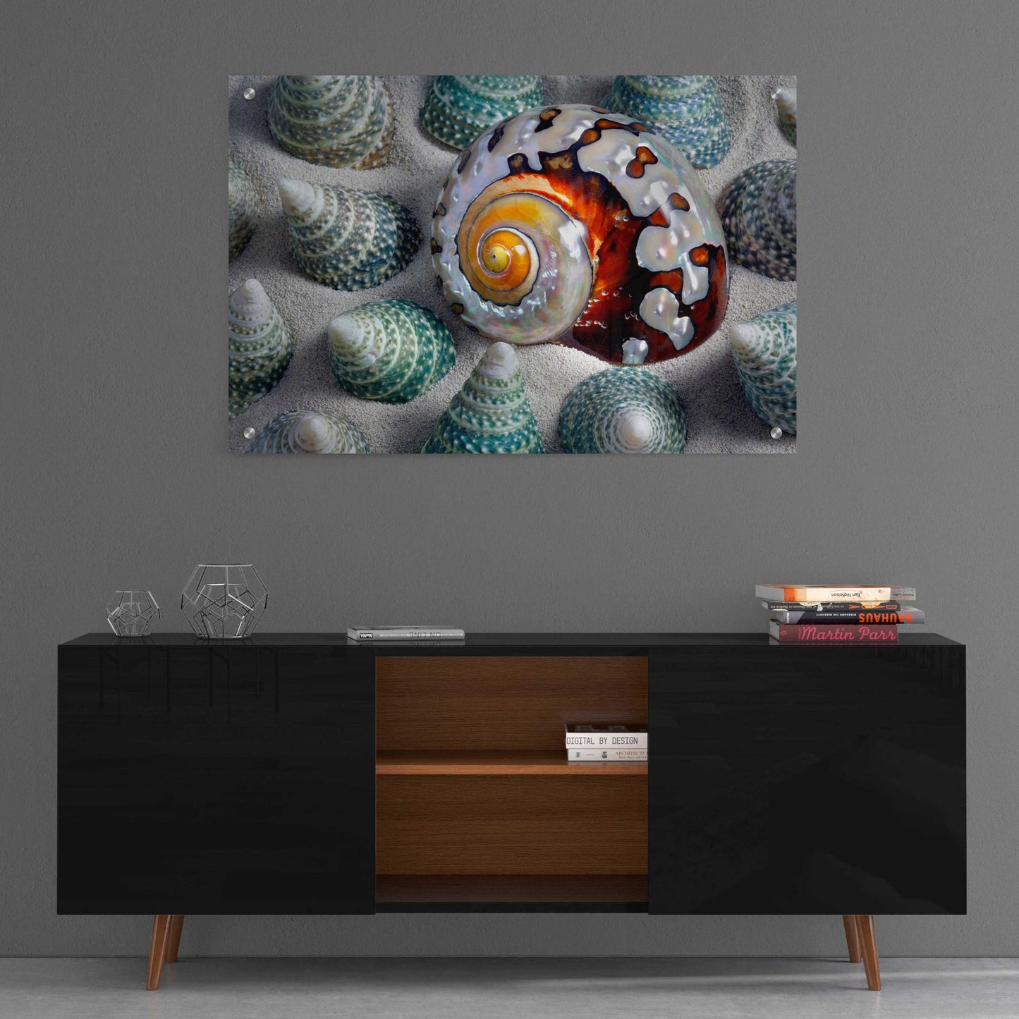 Epic Art 'Shell Spiral' by Dennis Frates, Acrylic Glass Wall Art,36x24