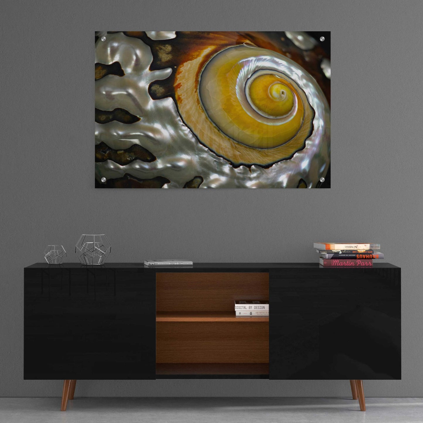 Epic Art 'Shell Spiral II' by Dennis Frates, Acrylic Glass Wall Art,36x24