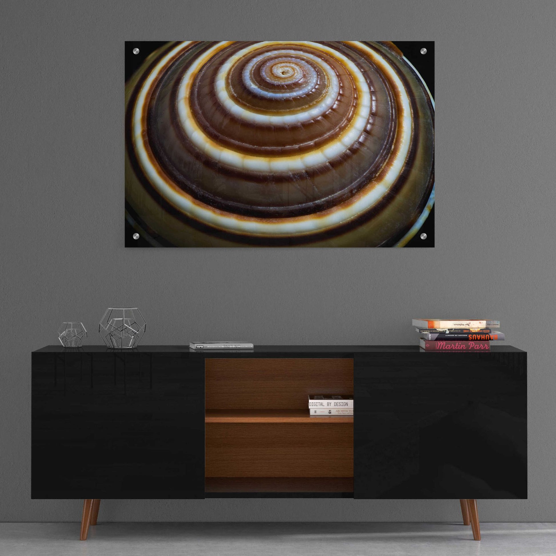 Epic Art 'Shell Spiral III' by Dennis Frates, Acrylic Glass Wall Art,36x24