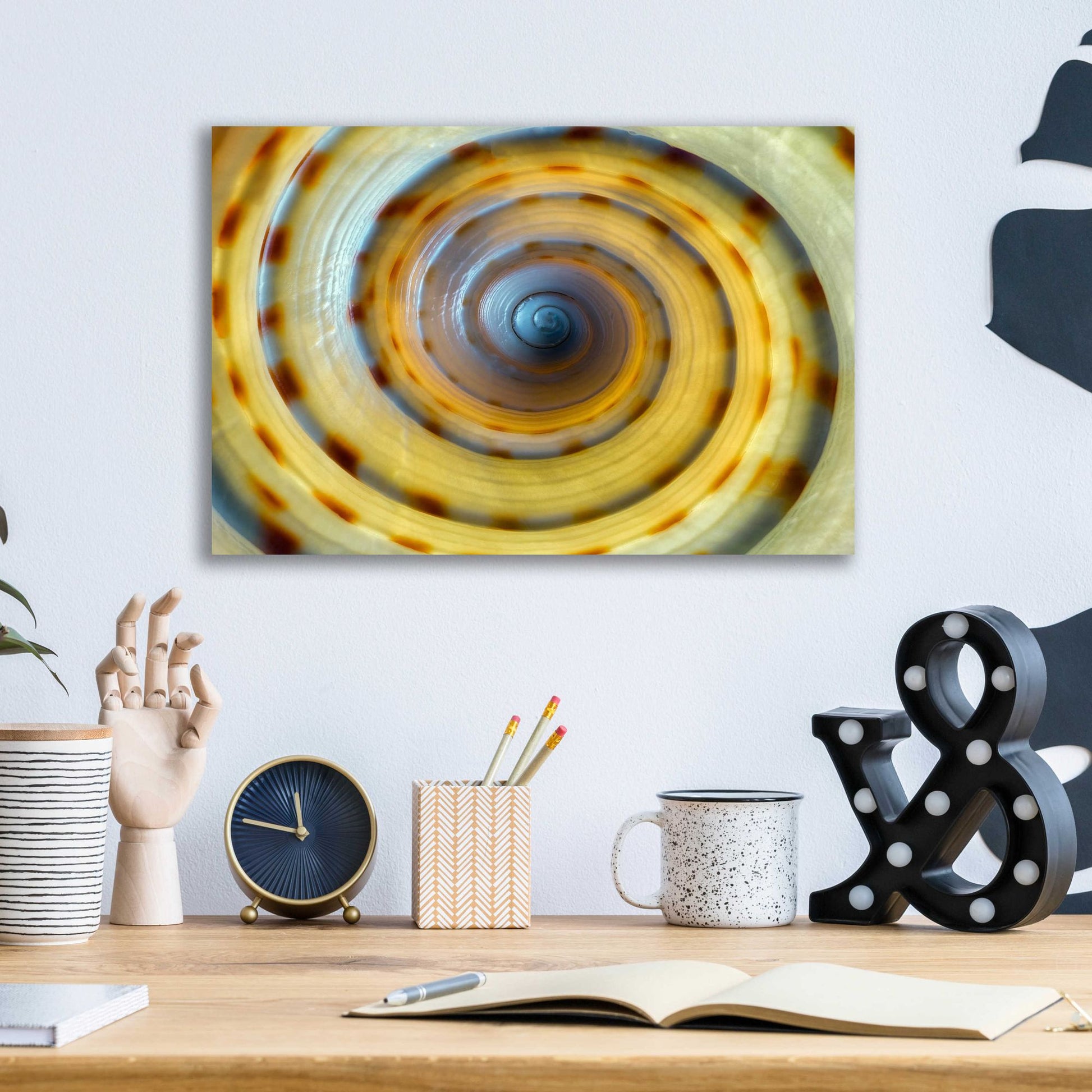 Epic Art 'Shell Spiral IV' by Dennis Frates, Acrylic Glass Wall Art,16x12