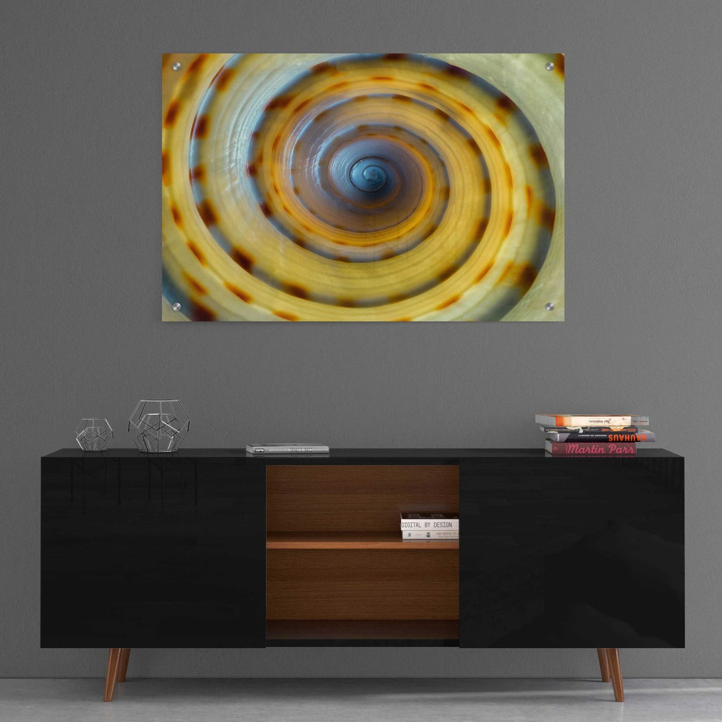 Epic Art 'Shell Spiral IV' by Dennis Frates, Acrylic Glass Wall Art,36x24