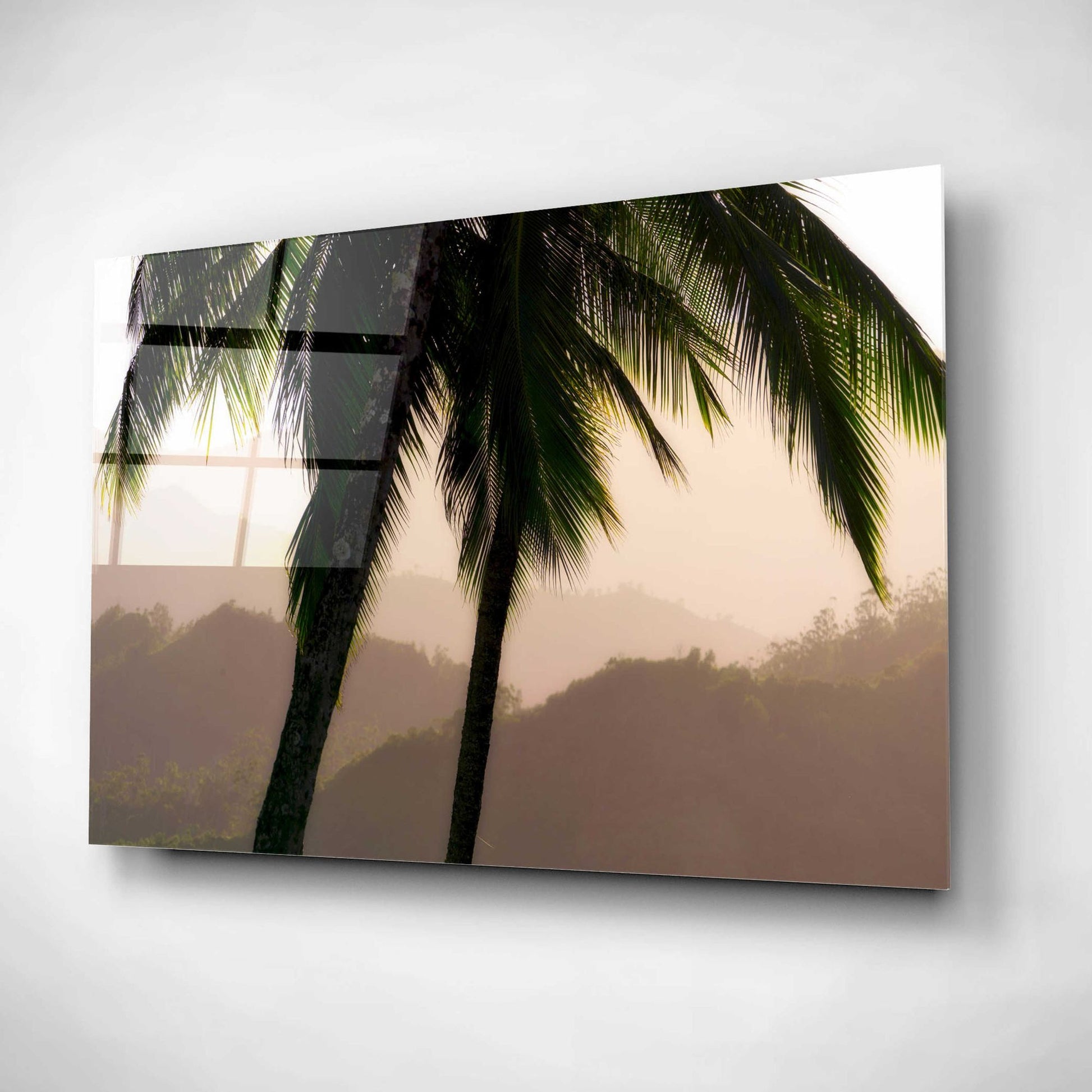 Epic Art 'Misty Palms I' by Dennis Frates, Acrylic Glass Wall Art,24x16