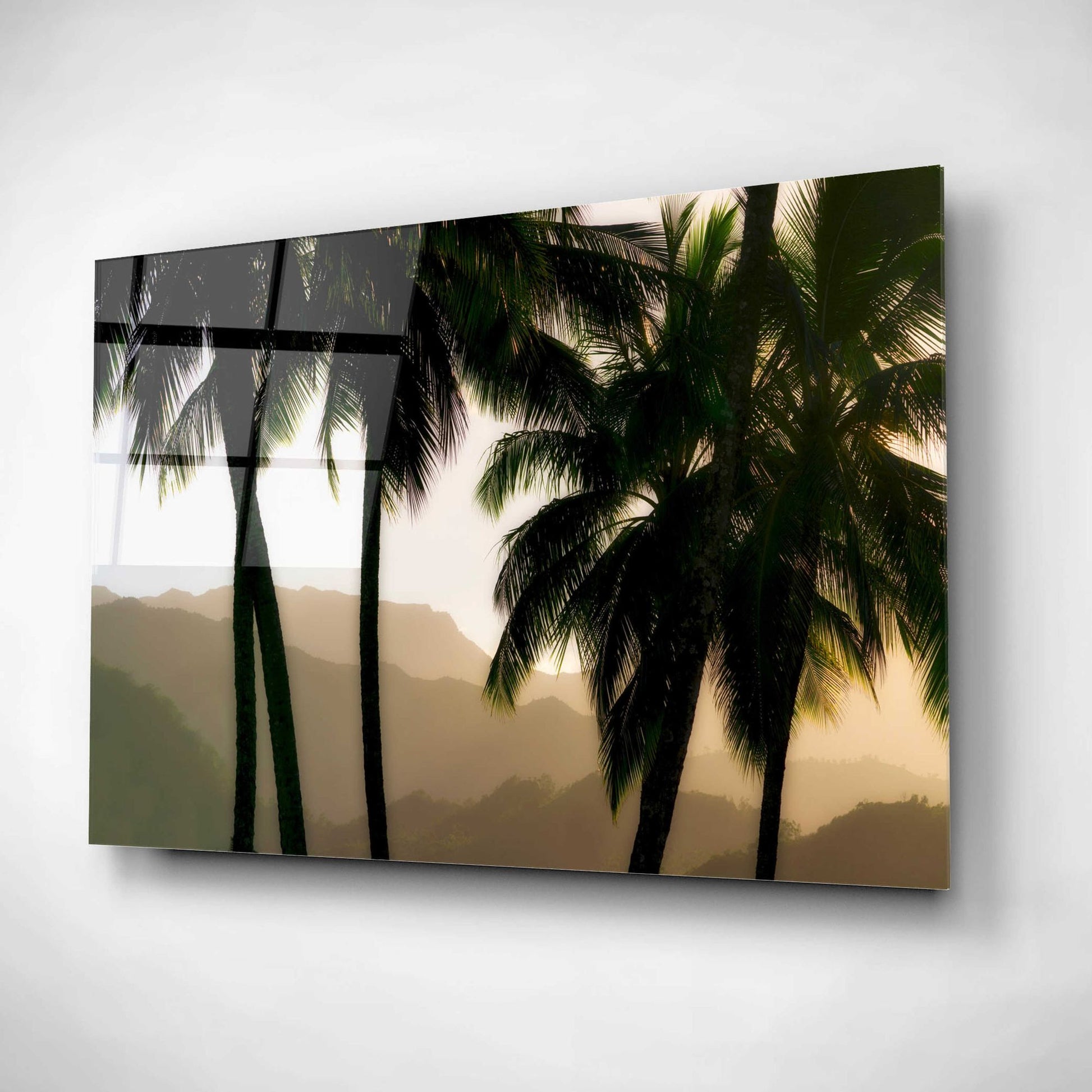 Epic Art 'Misty Palms II' by Dennis Frates, Acrylic Glass Wall Art,16x12