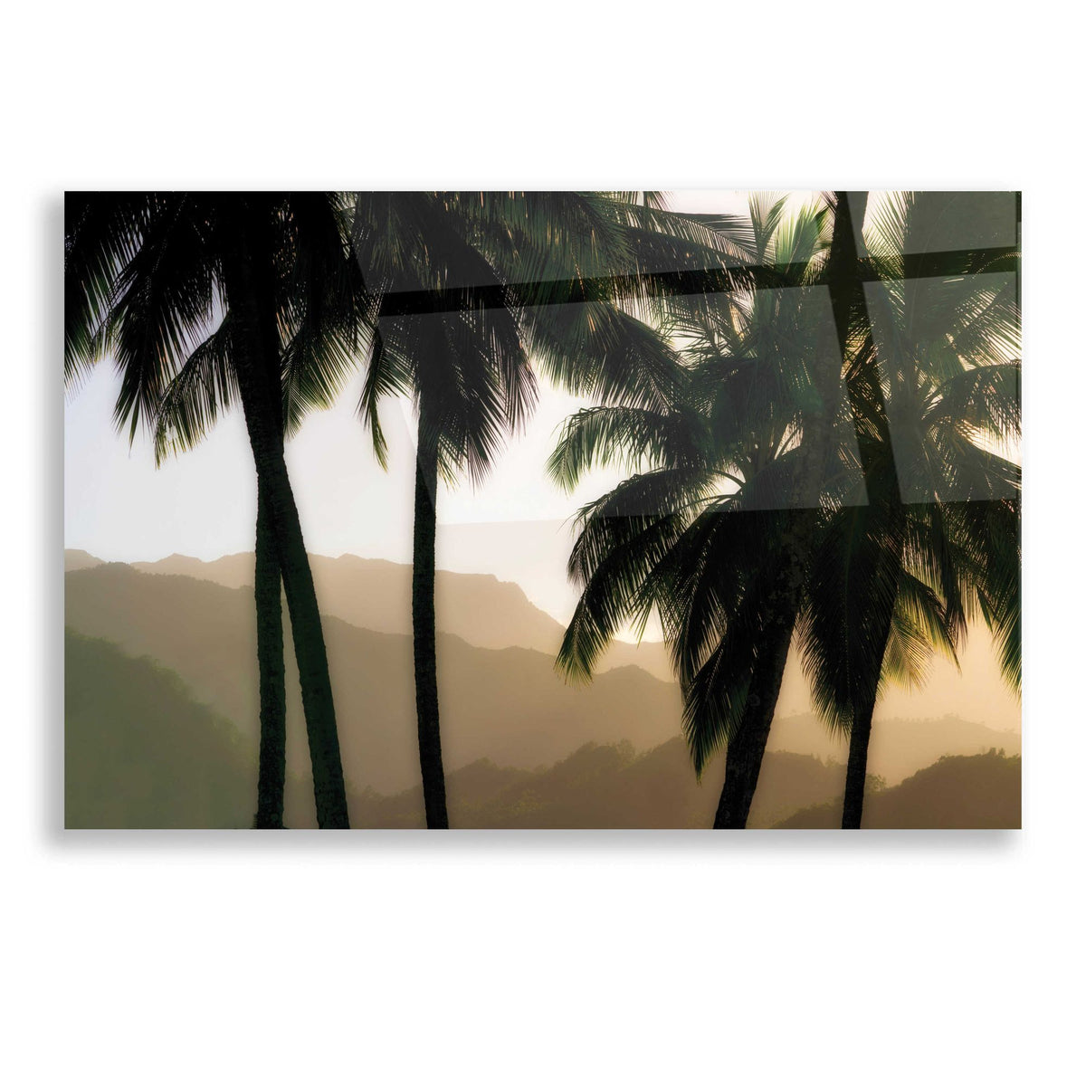 Epic Art 'Misty Palms II' by Dennis Frates, Acrylic Glass Wall Art