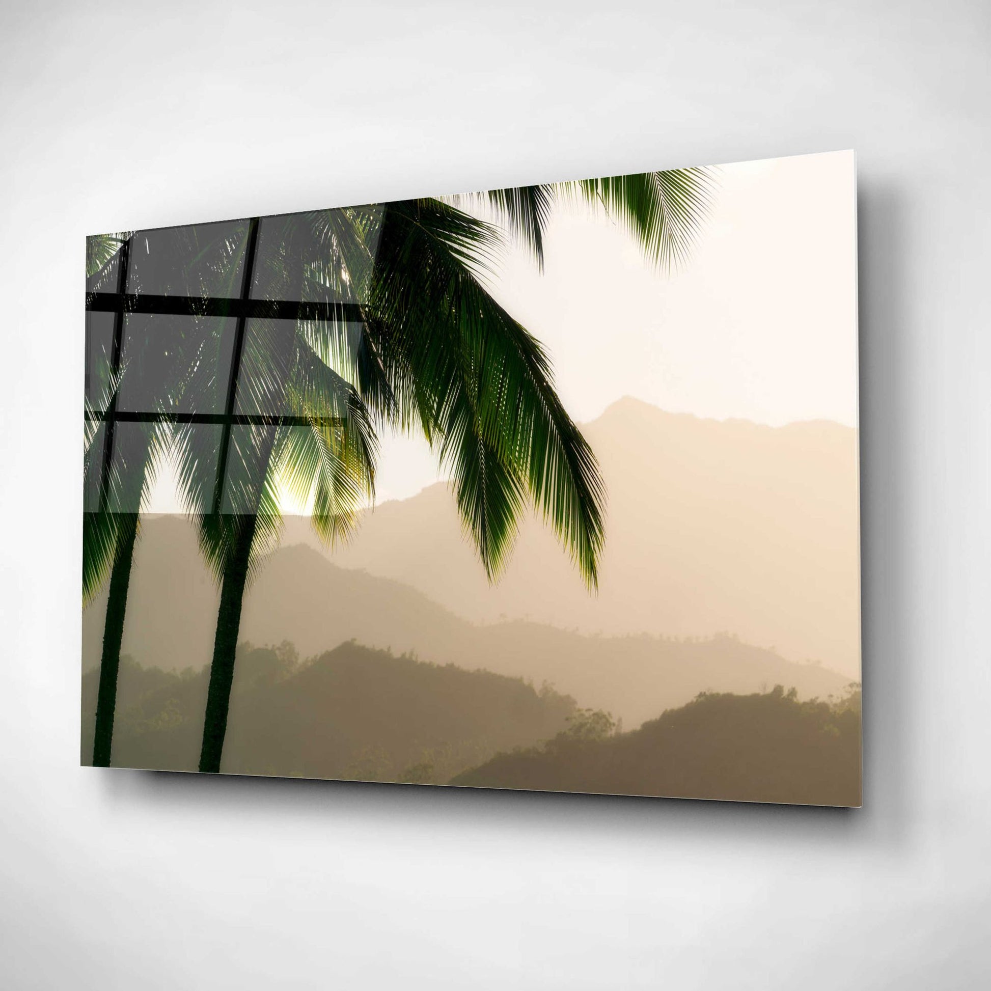 Epic Art 'Misty Palms III' by Dennis Frates, Acrylic Glass Wall Art,24x16